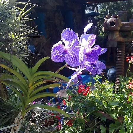 La Del Mare -domo- 3* 라 칼레타